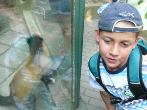 Fotografie